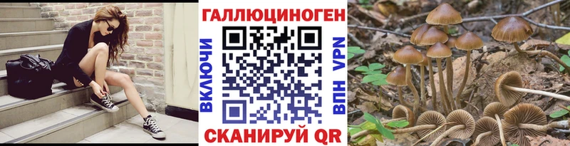 Галлюциногенные грибы прущие грибы  где купить   даркнет официальный сайт  Свободный 